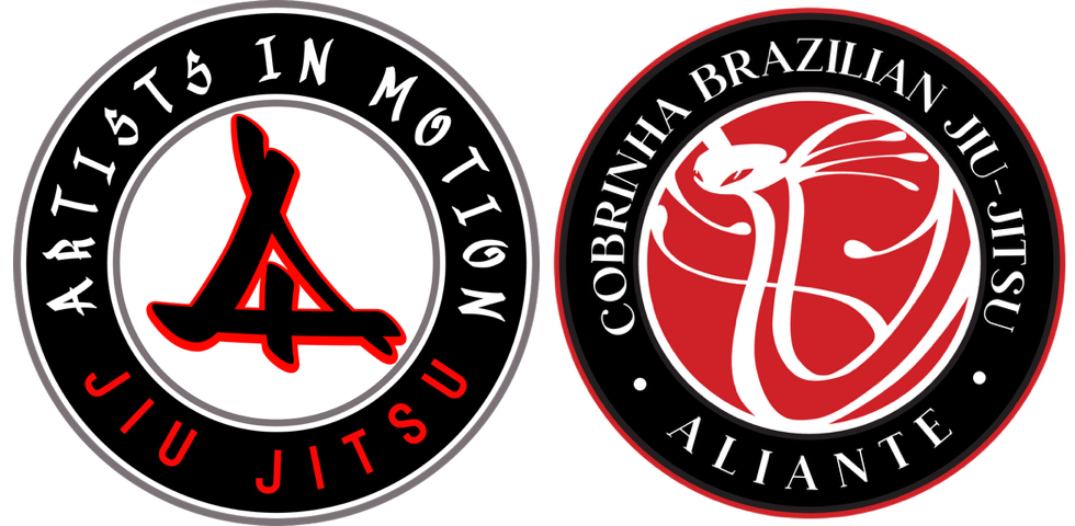 Artists In Motion Jiu Jitsu
